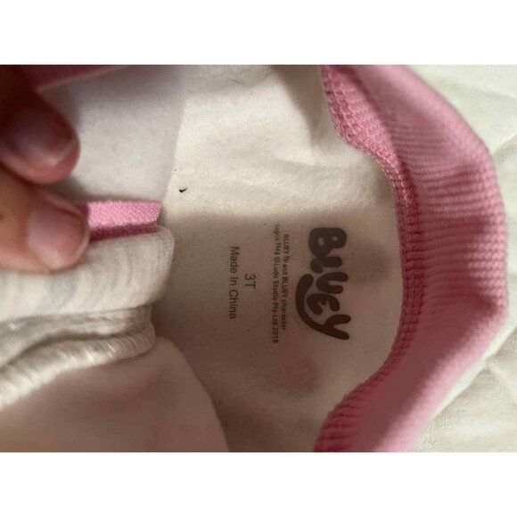 Bluey BBC Studios Size 3T Jacket Zipper Fall Coat Girls Toddler - Picture 3 of 4